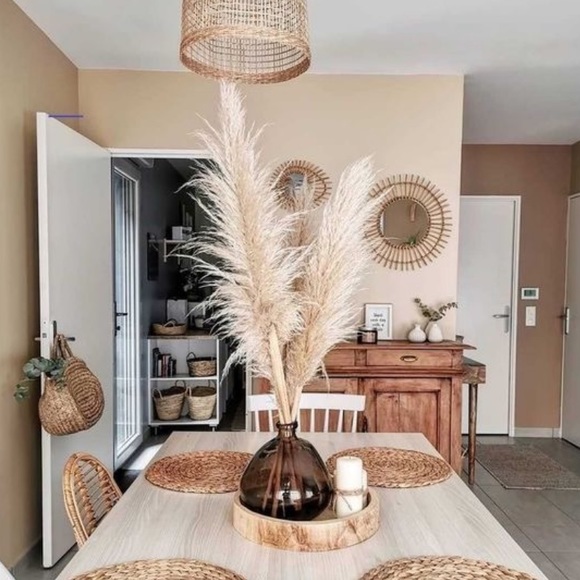 PAMPAS GRASS dried natural grasses 3 STEMS - Picture 3 of 3